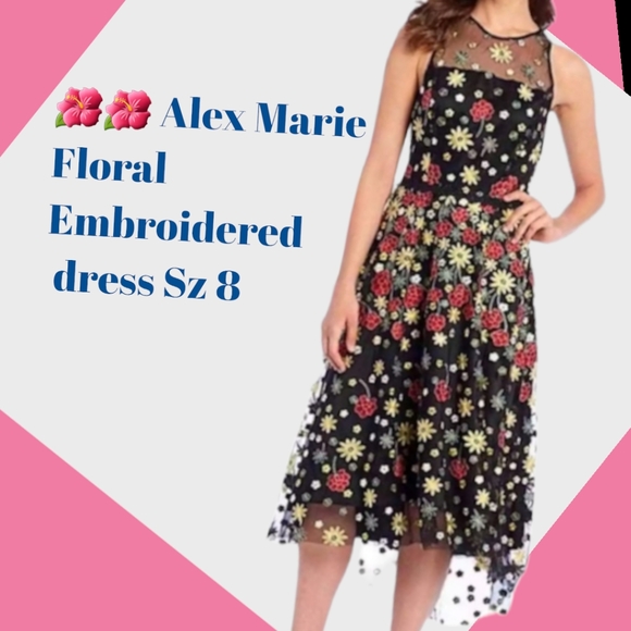 Alex Marie Dresses & Skirts - Alex Marie Lindsey  sz 8 sheer and Embroidered floral dress